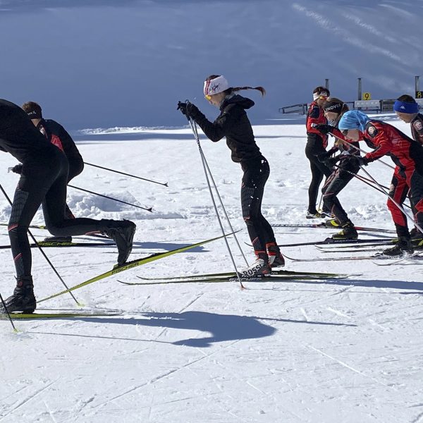 un gruppo di sciatori di sci di fondo in attività